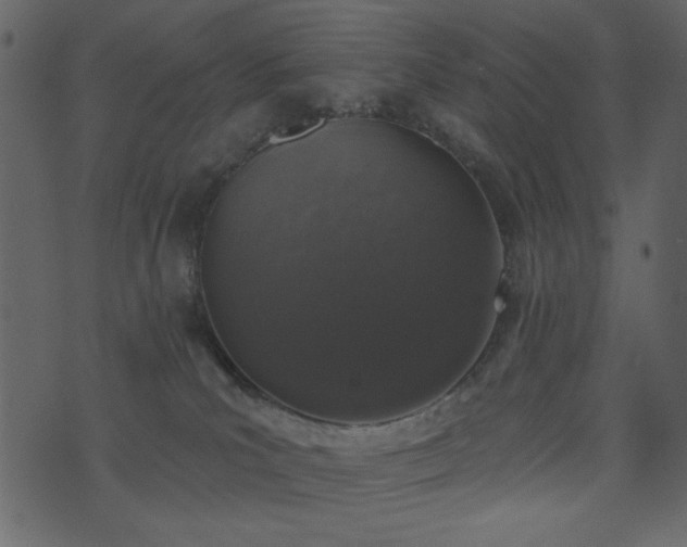 X0000071770039200606301206