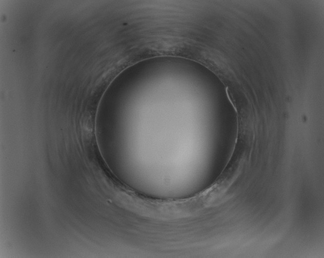 X0000071770040200606301206