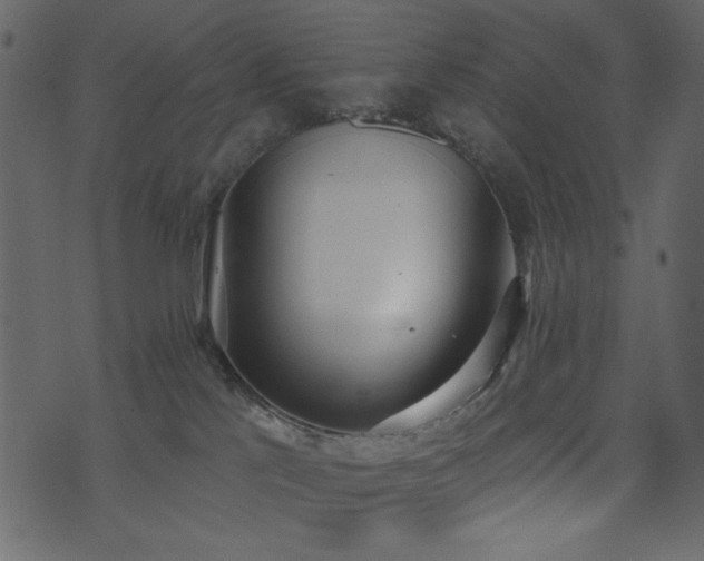 X0000071770041200606301206