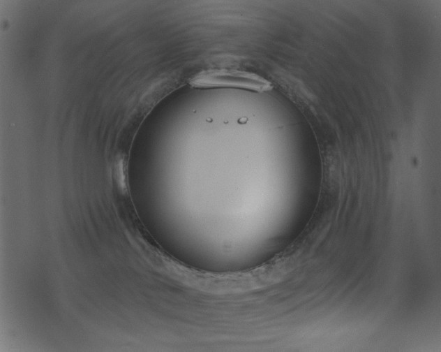 X0000071770042200606301206