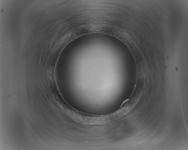 X0000071770044200606301206