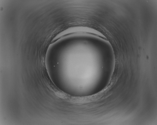 X0000071770045200606301206