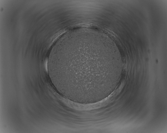 X0000071770047200606301206