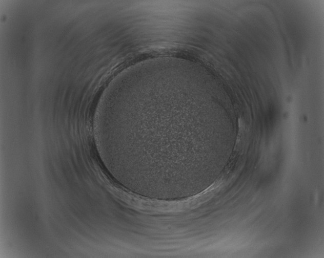 X0000071770048200606301206