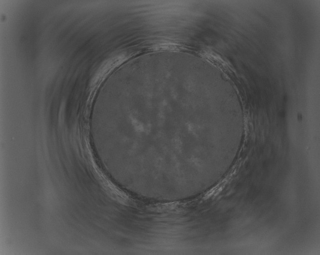 X0000071770049200606301205