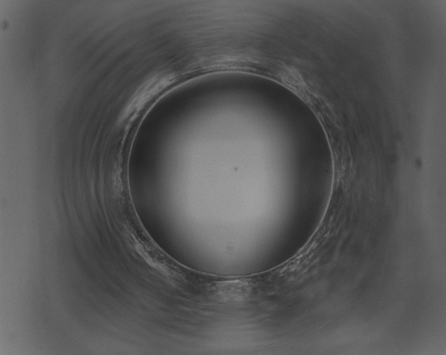 X0000071770050200606301205