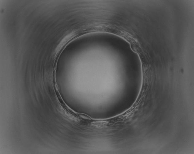 X0000071770051200606301205