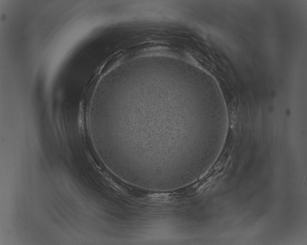 X0000071770052200606301205