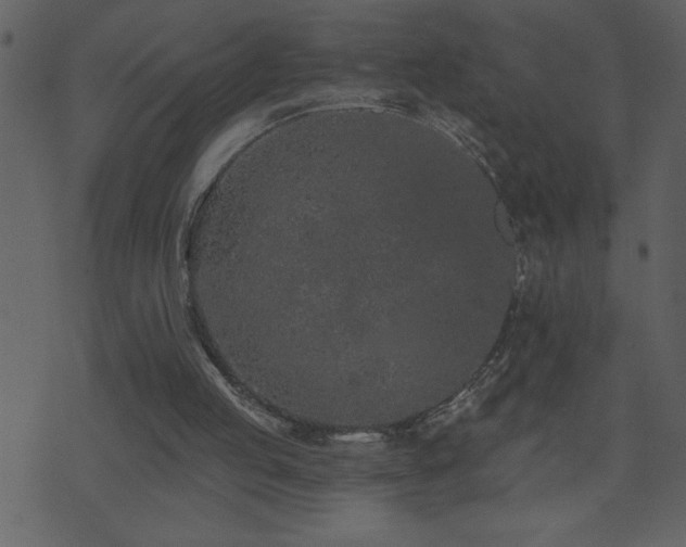 X0000071770053200606301205