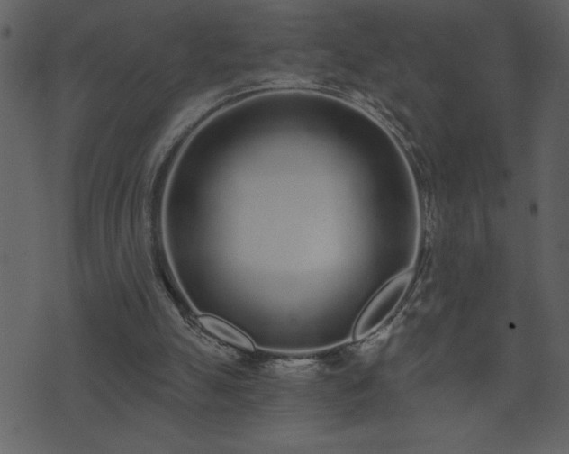 X0000071770055200606301205