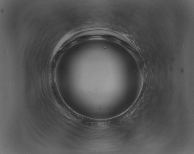 X0000071770056200606301205