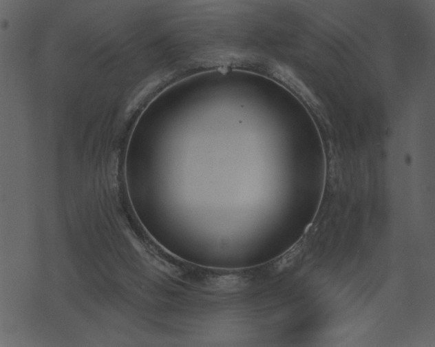 X0000071770058200606301205