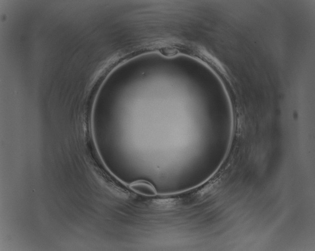 X0000071770059200606301205