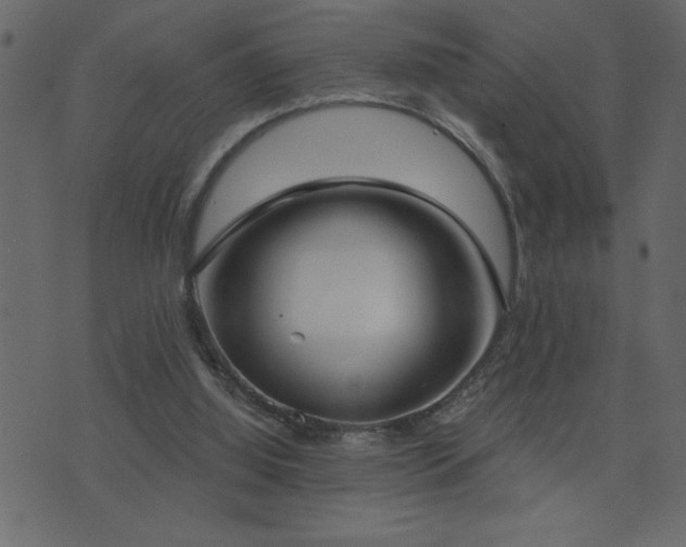 X0000071770060200606301205