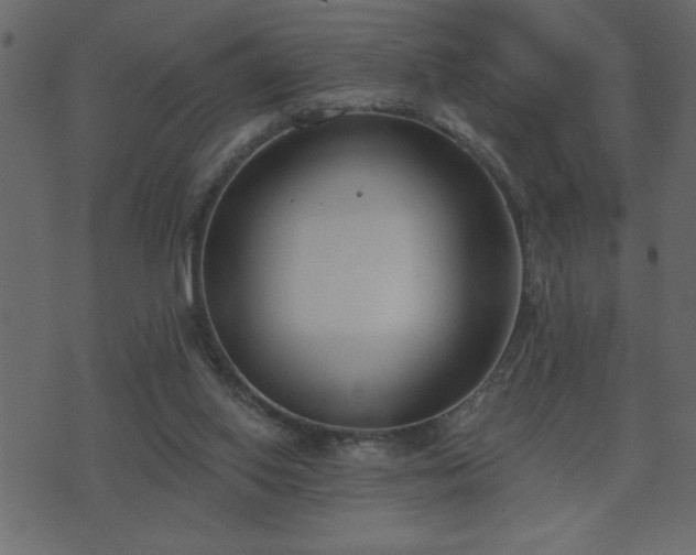 X0000071770062200606301205