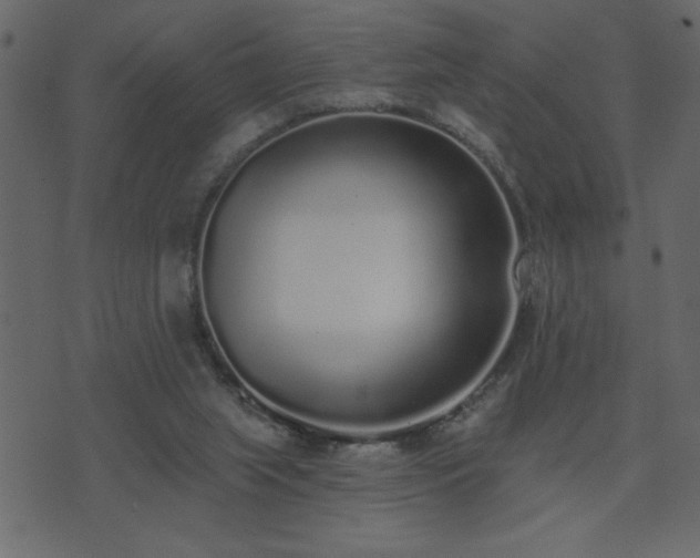 X0000071770063200606301205