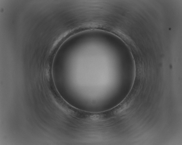 X0000071770064200606301205