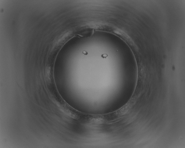 X0000071770066200606301205