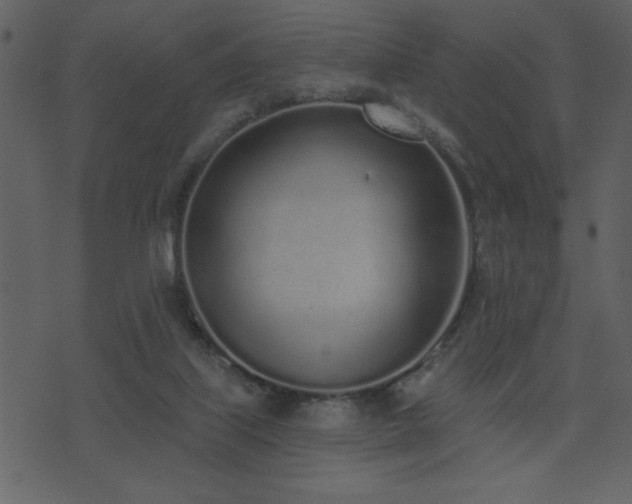 X0000071770067200606301205