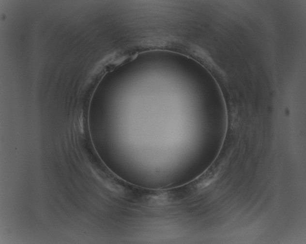 X0000071770068200606301205