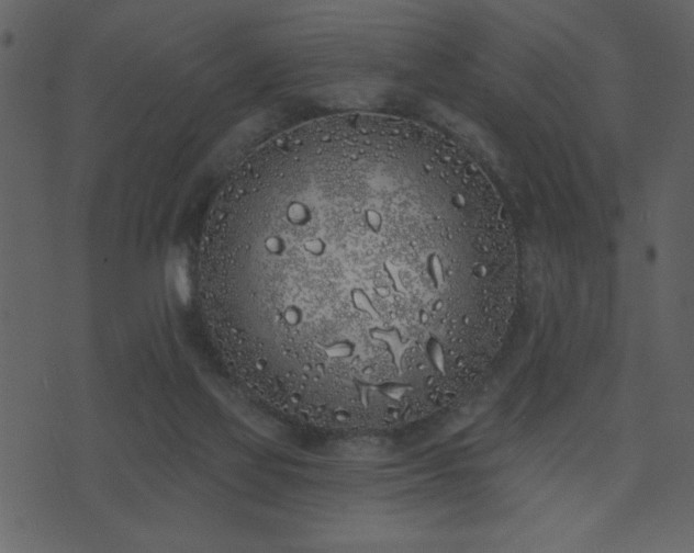 X0000071770069200606301205