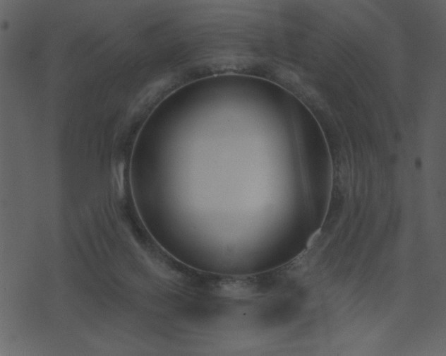 X0000071770070200606301205