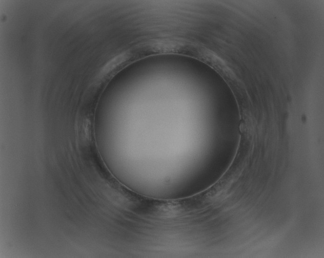 X0000071770071200606301205