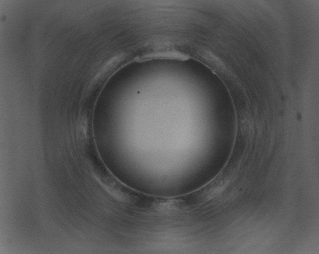 X0000071770072200606301206