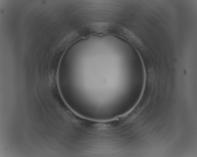 X0000071770073200606301206