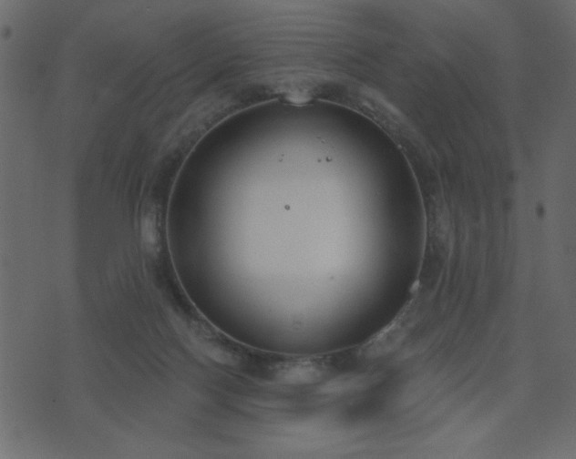 X0000071770074200606301206