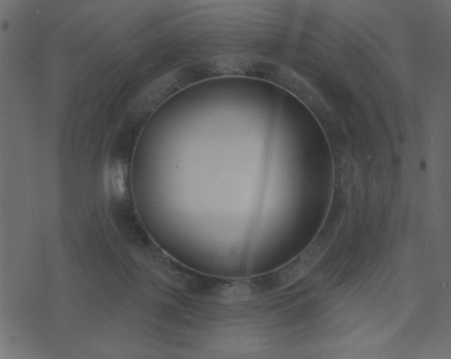 X0000071770075200606301206