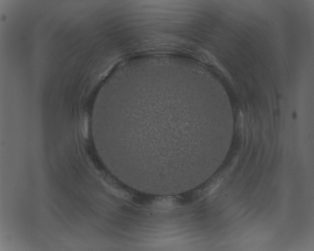 X0000071770076200606301206