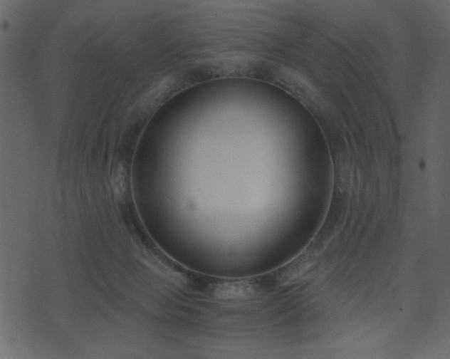 X0000071770077200606301206