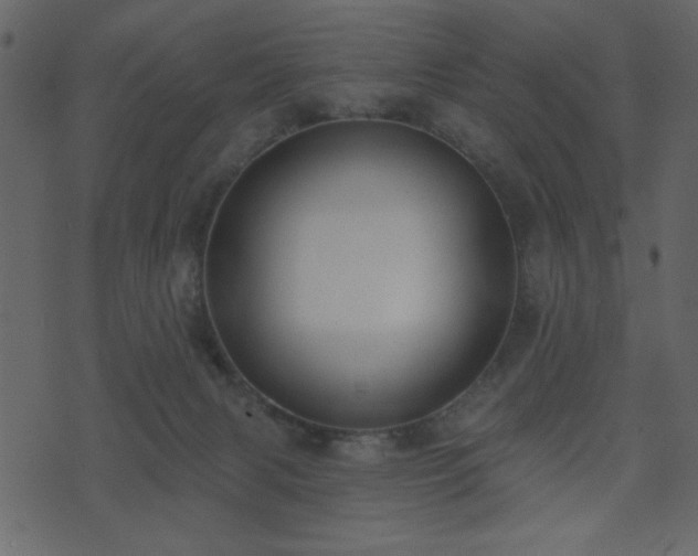 X0000071770079200606301206