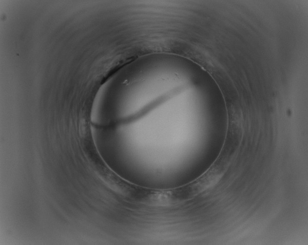 X0000071770080200606301206