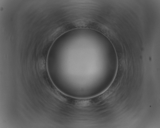 X0000071770081200606301206