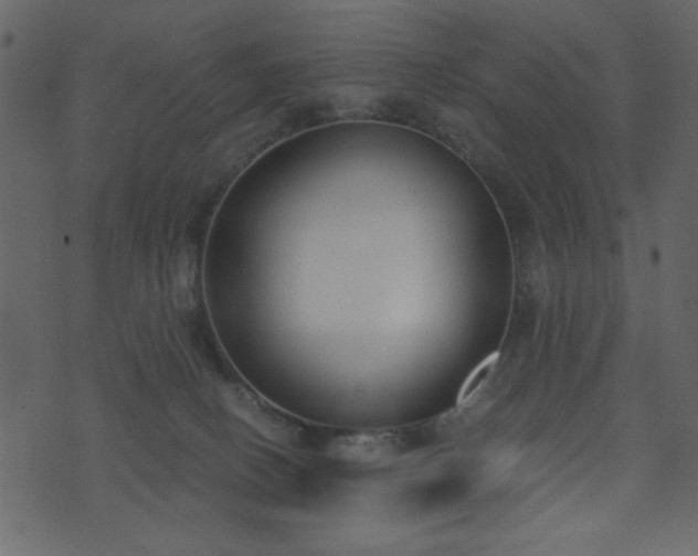 X0000071770082200606301206