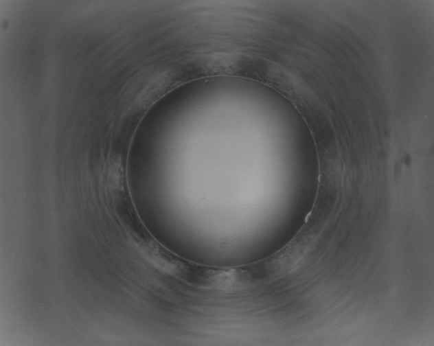 X0000071770083200606301206