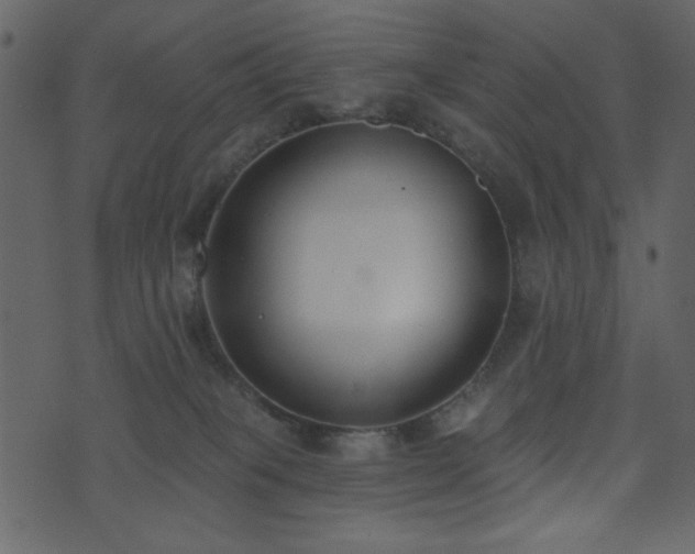 X0000071770085200606301206