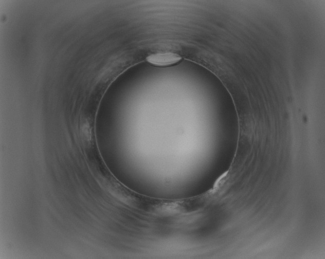 X0000071770086200606301206