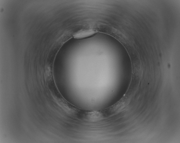 X0000071770087200606301206