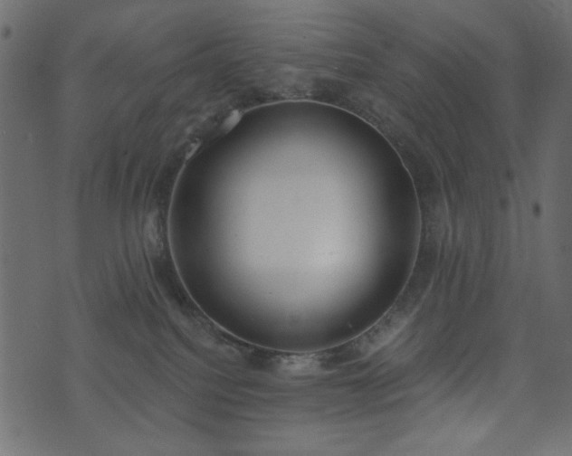 X0000071770088200606301206