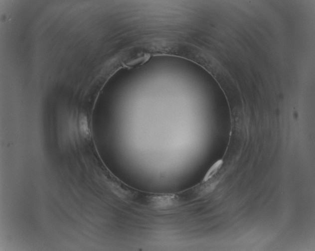 X0000071770089200606301206