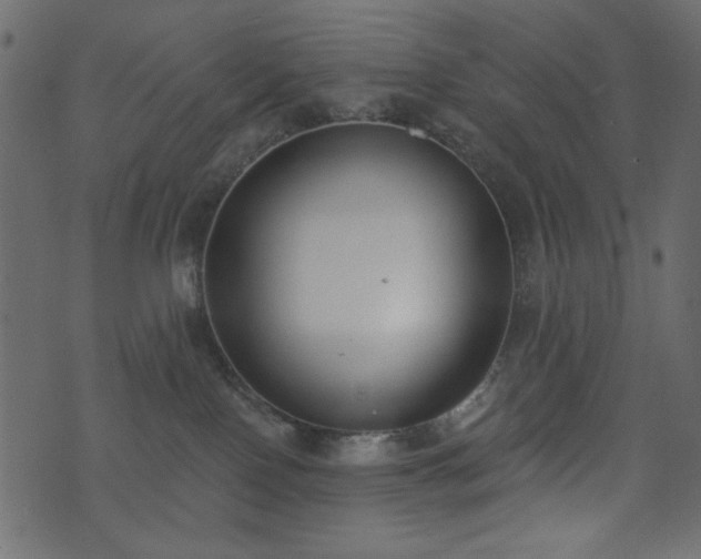 X0000071770090200606301206