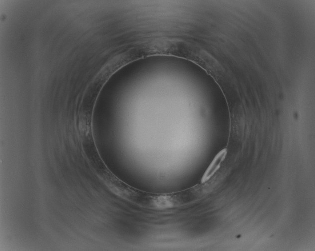 X0000071770091200606301206