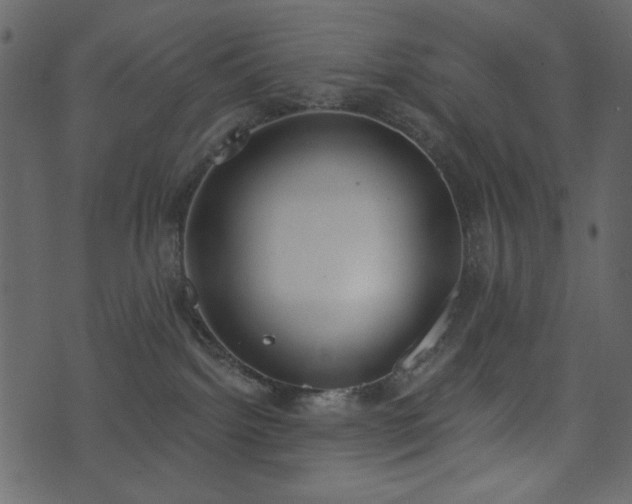 X0000071770092200606301206