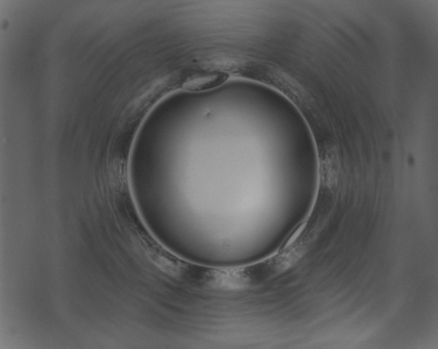 X0000071770093200606301206