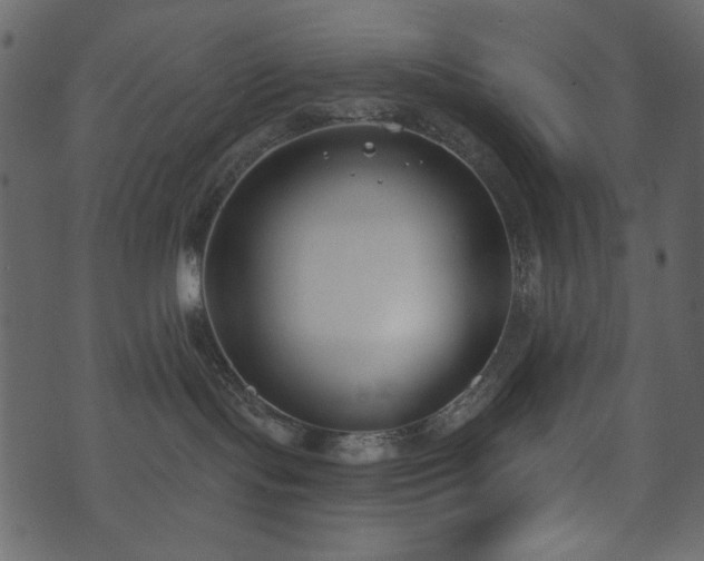 X0000071770095200606301206