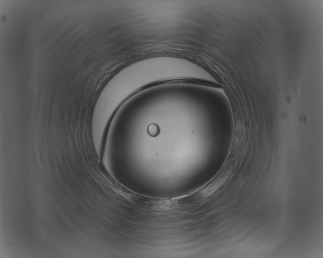 X0000071770096200606301206