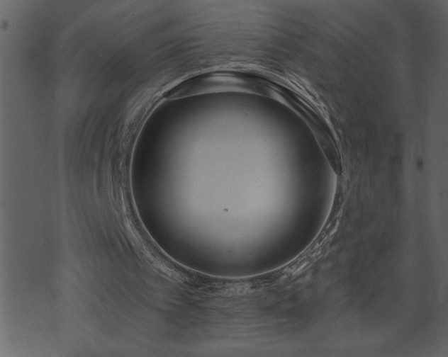 X0000071770097200606301205